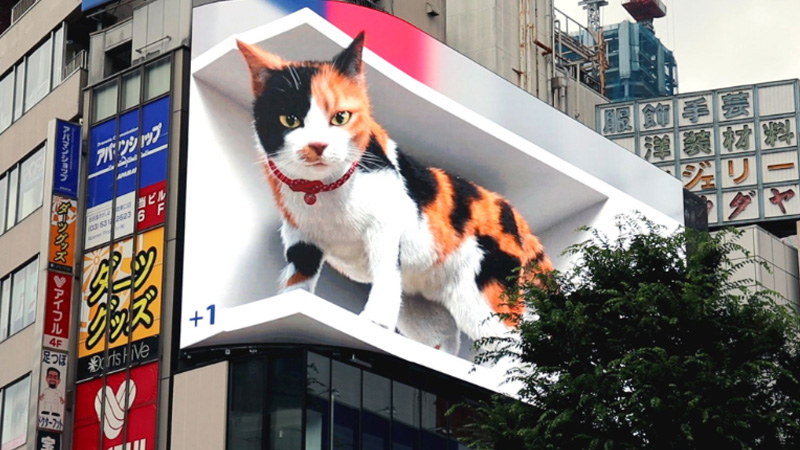 Shinjuku 3D Billboard – Comprehensive Explanation 2024